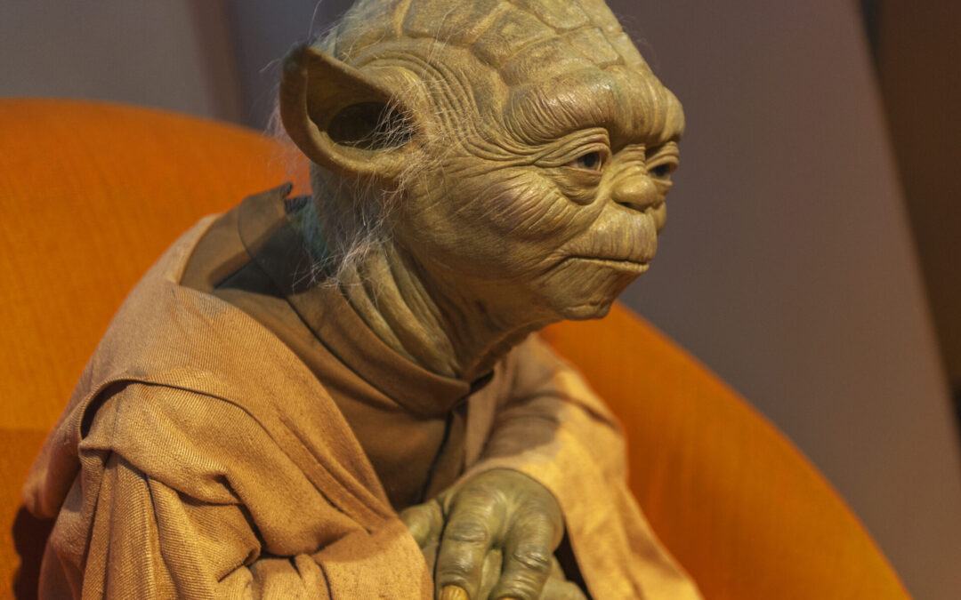 The Wisdom of Yoda 1 – Around the survivors a Perimeter Create